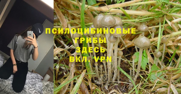 эйфоретик Братск
